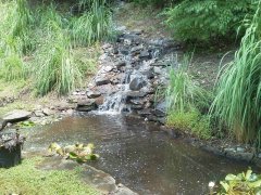 gallery/img_20110721_122655